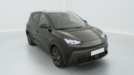 378152_p2 - BYD - DOLPHIN SURF - 2025