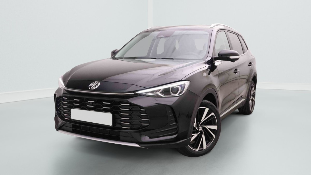 383522_p2 - MG - ZS - 2026 - photo 1