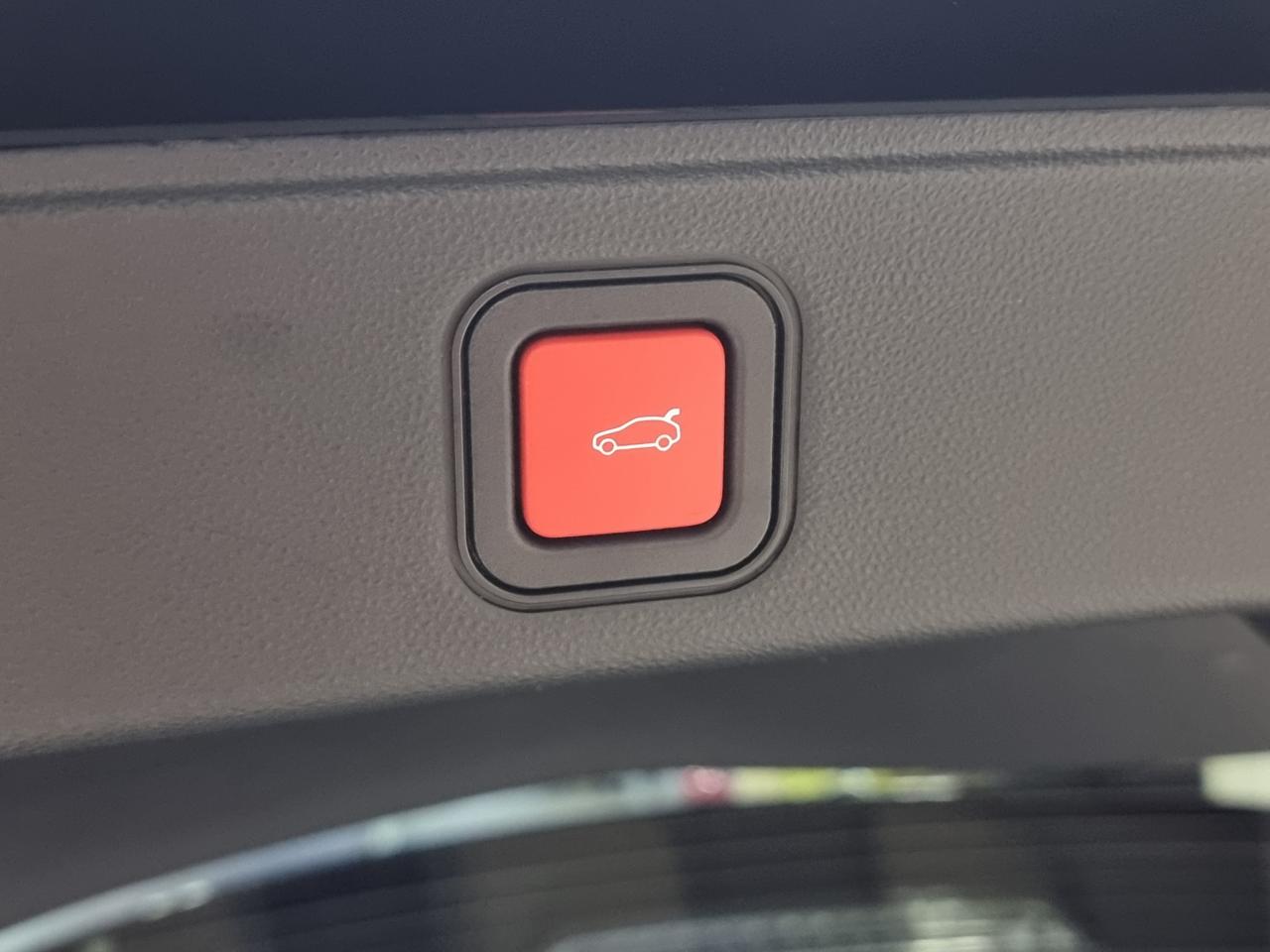 0679-0003316_p68 - FIAT - 600 - 2025 - photo 15