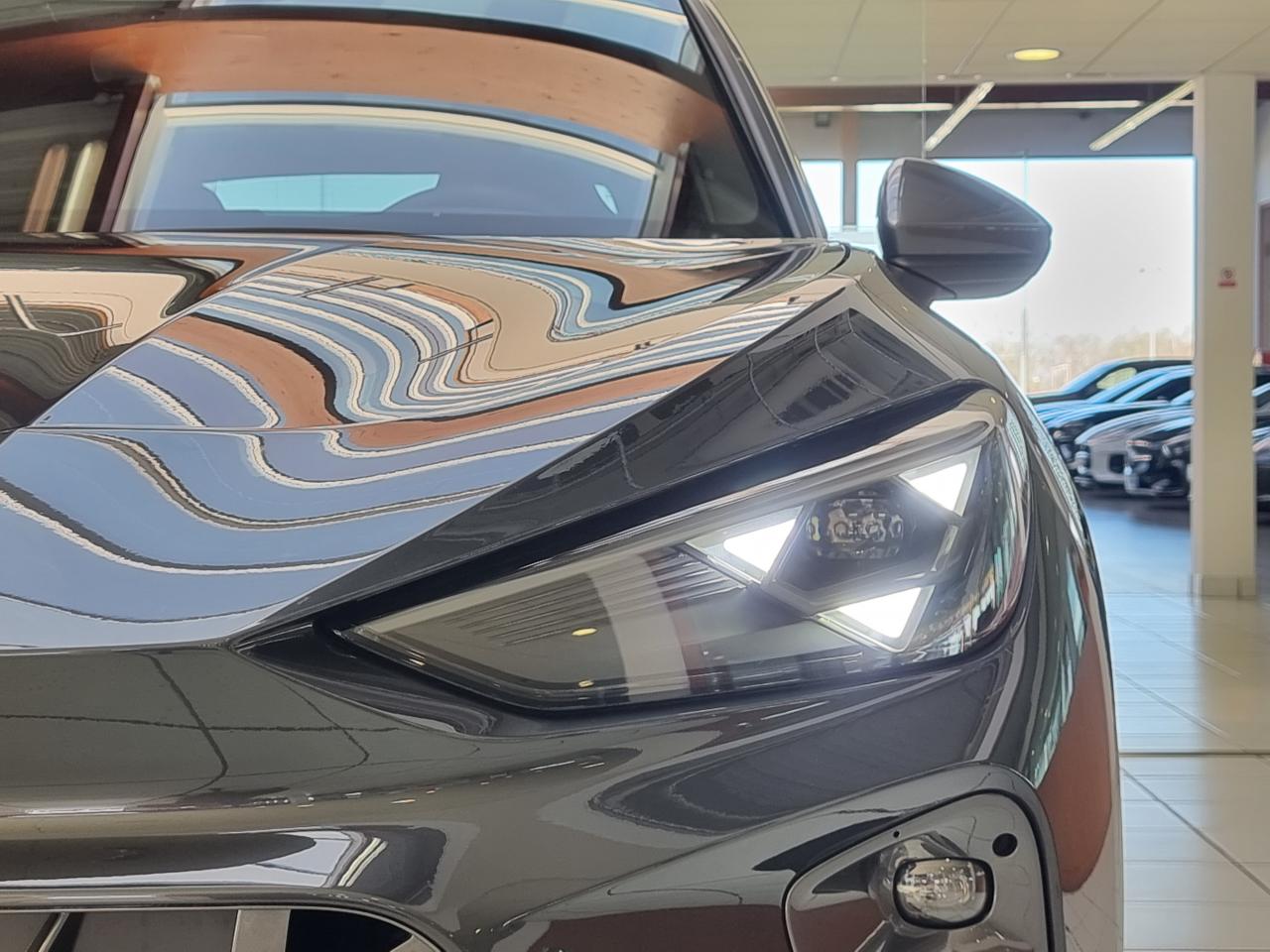 0679-0003345_p68 - CUPRA - TERRAMAR - 2026 - photo 6